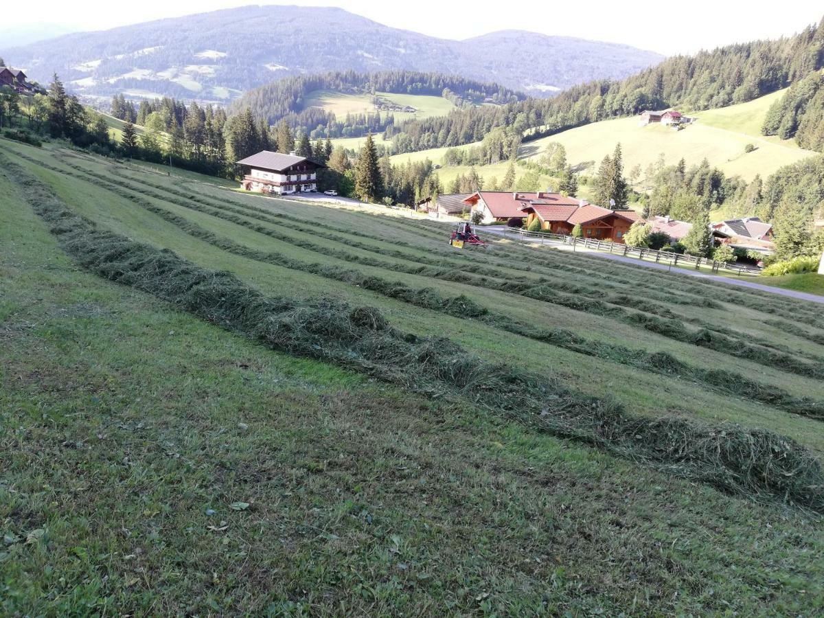 Vorderwiesgut Altenmarkt im Pongau Eksteriør billede
