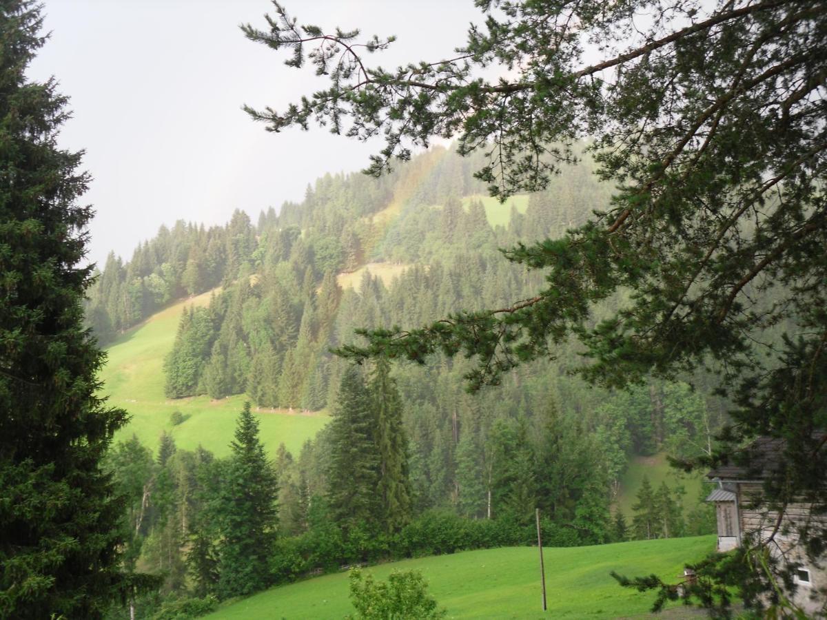 Vorderwiesgut Altenmarkt im Pongau Eksteriør billede
